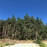 Borov Park 3