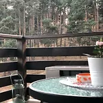 Apartamento Borov Park 3