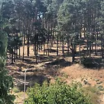 Apartamento Borov Park 3 *
