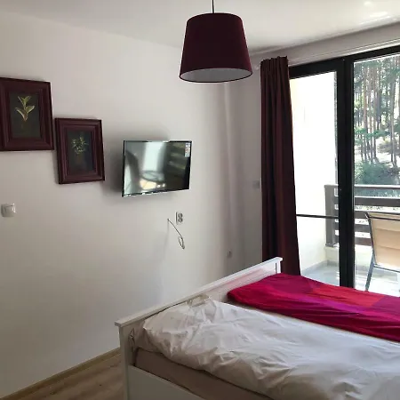 Borov Park 3 Apartment