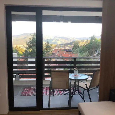 Borov Park 3 Apartment