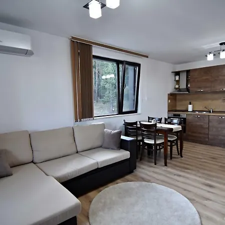 Borov Park 3 Apartment Velingrad