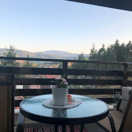 Borov Park 3 Apartment Velingrad