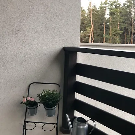 Borov Park 3 Apartment