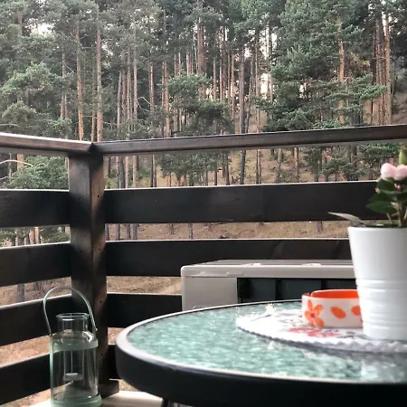 Apartment Borov Park 3