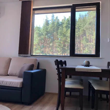 Borov Park 3 Apartment