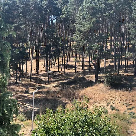 Apartment Borov Park 3 *