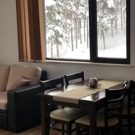 Apartment Borov Park 3 *