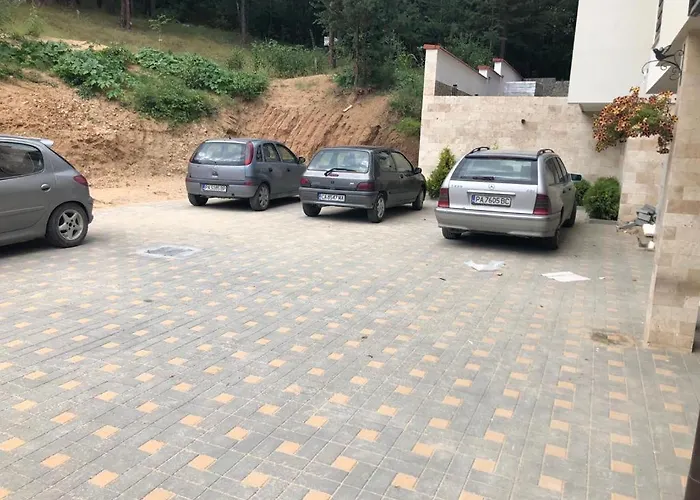 דירה Borov Park 3 ולינגראד