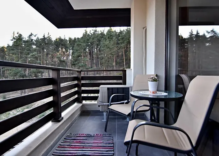 דירה Borov Park 3 ולינגראד