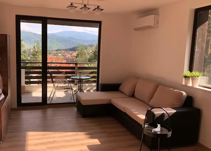 דירה Borov Park 3 ולינגראד