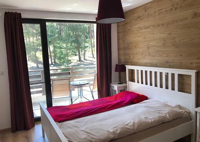 Borov Park 3 דירה ולינגראד