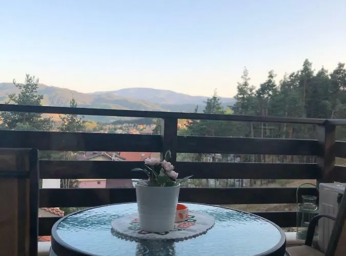 Borov Park 3 דירה ולינגראד