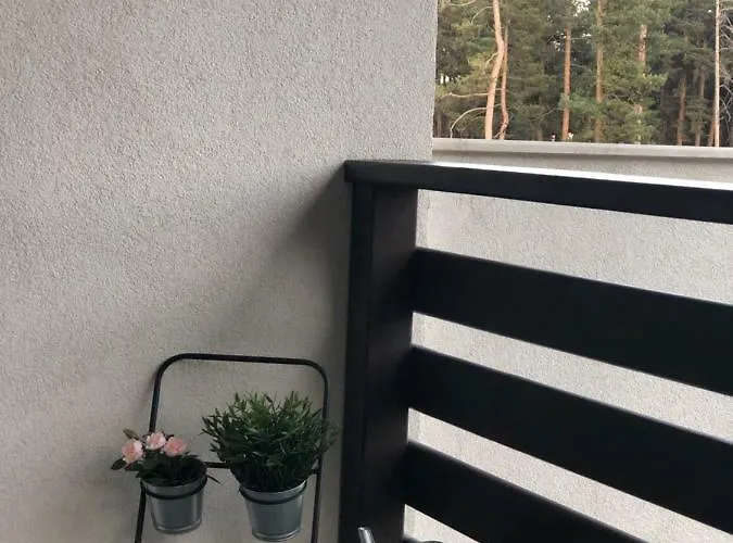 Borov Park 3 דירה