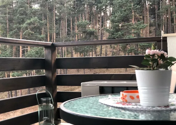 דירה Borov Park 3