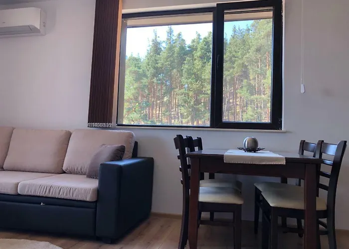 Borov Park 3 דירה