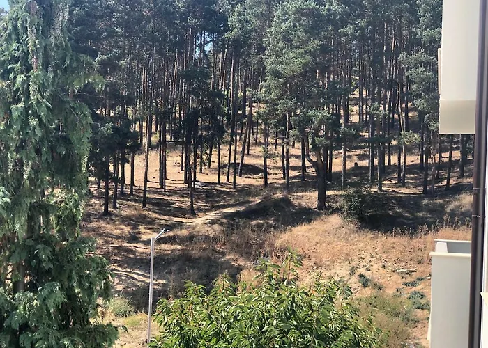 דירה Borov Park 3 *