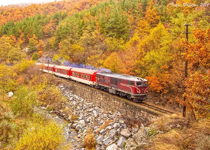 Borov Park 3 דירה ולינגראד