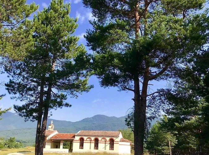 Borov Park 3 ולינגראד