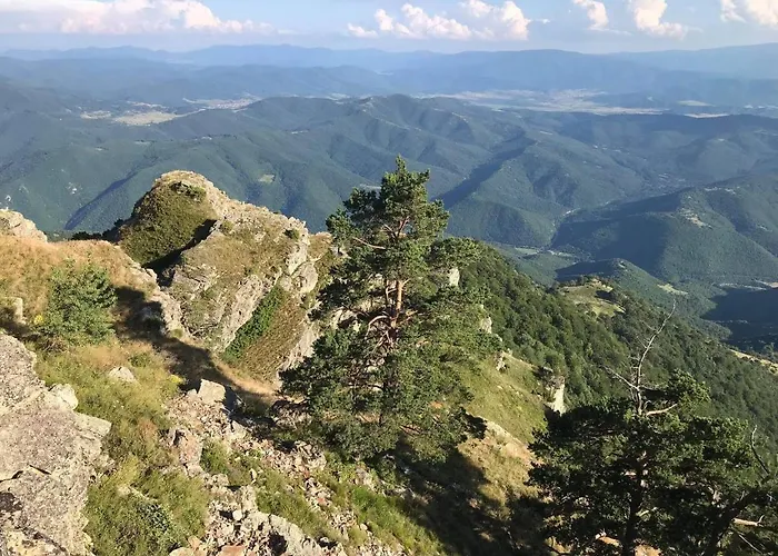 Borov Park 3 ולינגראד